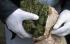 Арестуваха тираджии с 2 тона марихуана