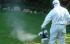 Препарат срещу комари опасен за пчелите