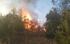 Пожарът, застрашил две села край Благоевград, е умишлен
