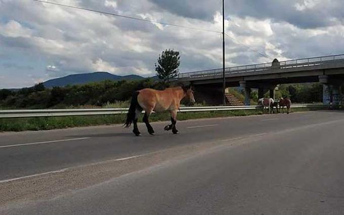 Снимка архив