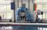 Плувци прославиха Сандански на международен турнир с 24 медала