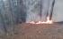 Горски и огнеборци потушават седем пожара в Югозапада