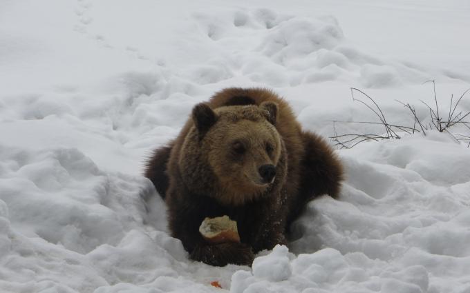 Снимка архив